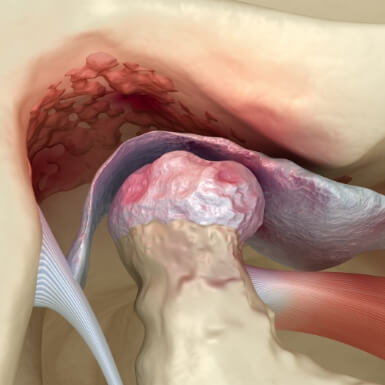 Animated jaw joints